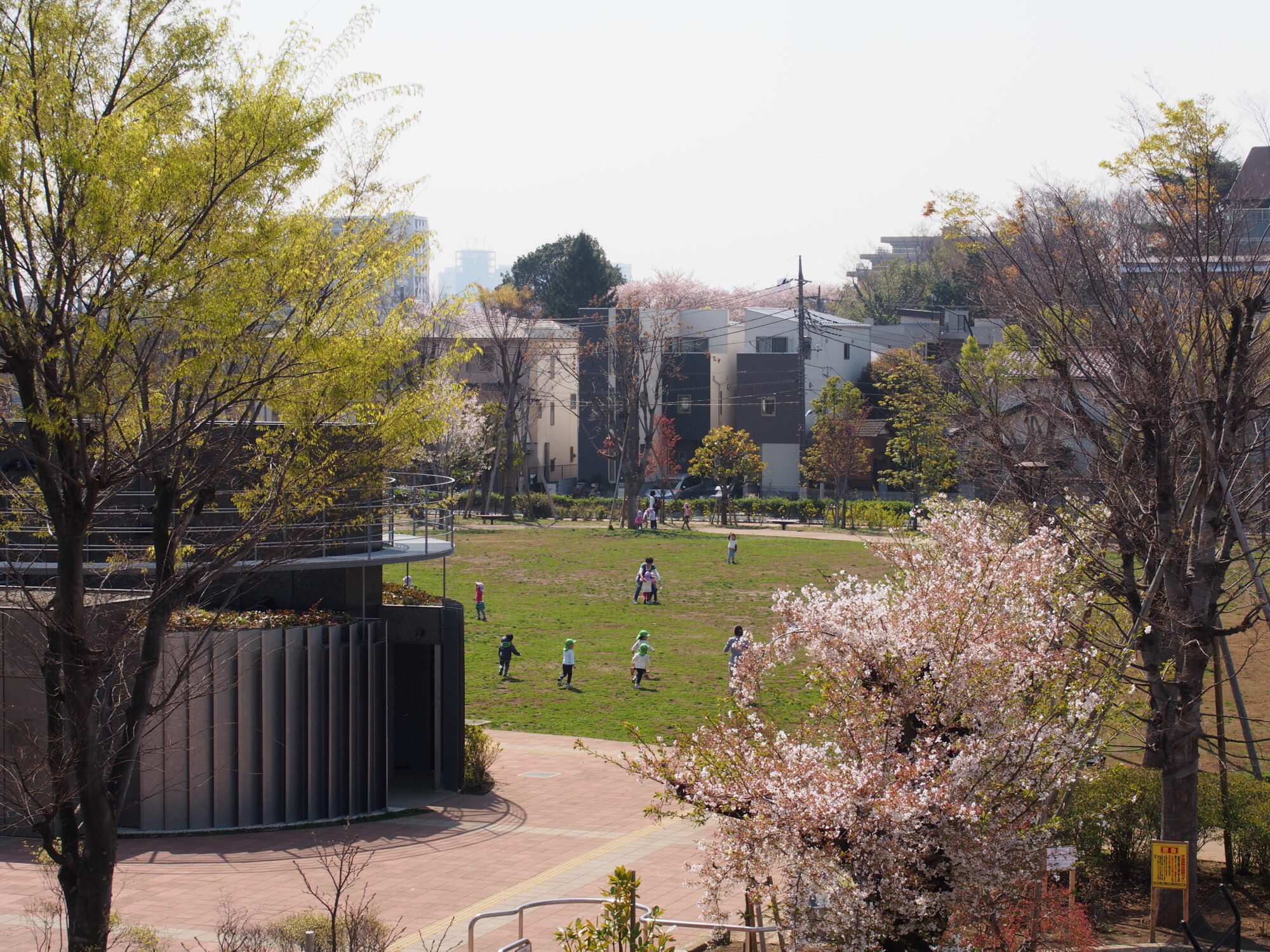练马区中村柏公园 Landscape Design Inc