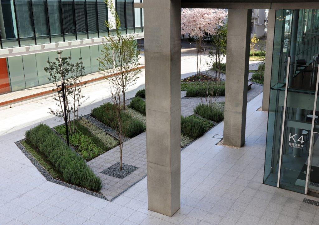 神奈川工科大学 看護医療棟 ランドスケープデザイン Landscape Design 神奈川工科大学 看護医療棟 ランドスケープデザイン Landscape Design