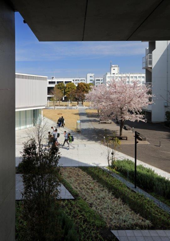 神奈川工科大学 看護医療棟 ランドスケープデザイン Landscape Design 神奈川工科大学 看護医療棟 ランドスケープデザイン Landscape Design