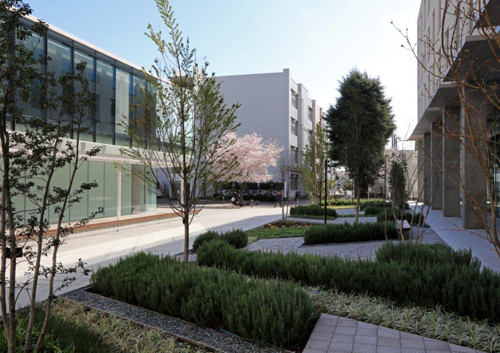 神奈川工科大学 看護医療棟 ランドスケープデザイン Landscape Design 神奈川工科大学 看護医療棟 ランドスケープデザイン Landscape Design