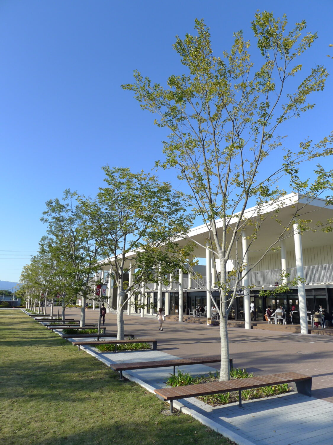 立命館大学bkcフロンティアアベニュー ランドスケープデザイン Landscape Design 立命館大学bkcフロンティアアベニュー ランドスケープデザイン Landscape Design