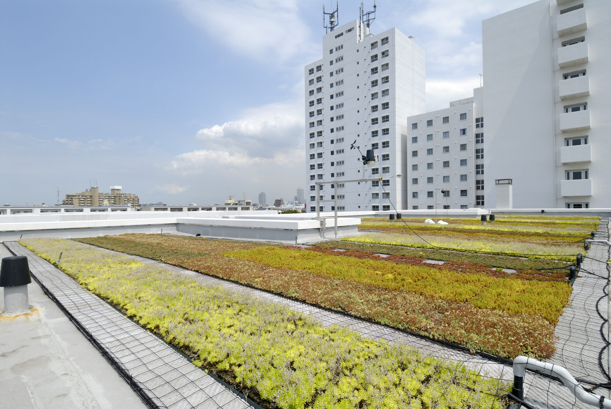 鹿島テラスハウス南長崎屋上緑化 ランドスケープデザイン Landscape Design