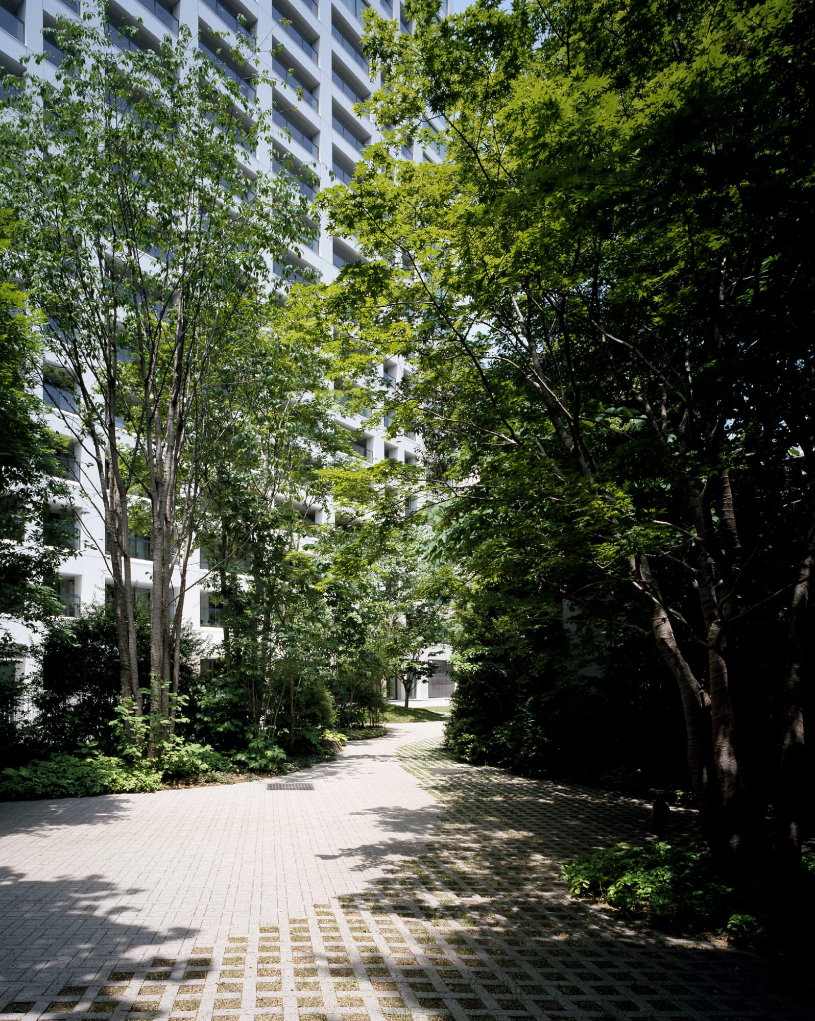 虎ノ門タワーズ